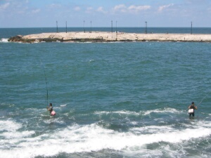 Alexandria - fishermen