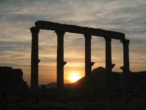Palmyra sunset